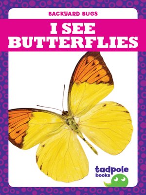 cover image of I See Butterflies